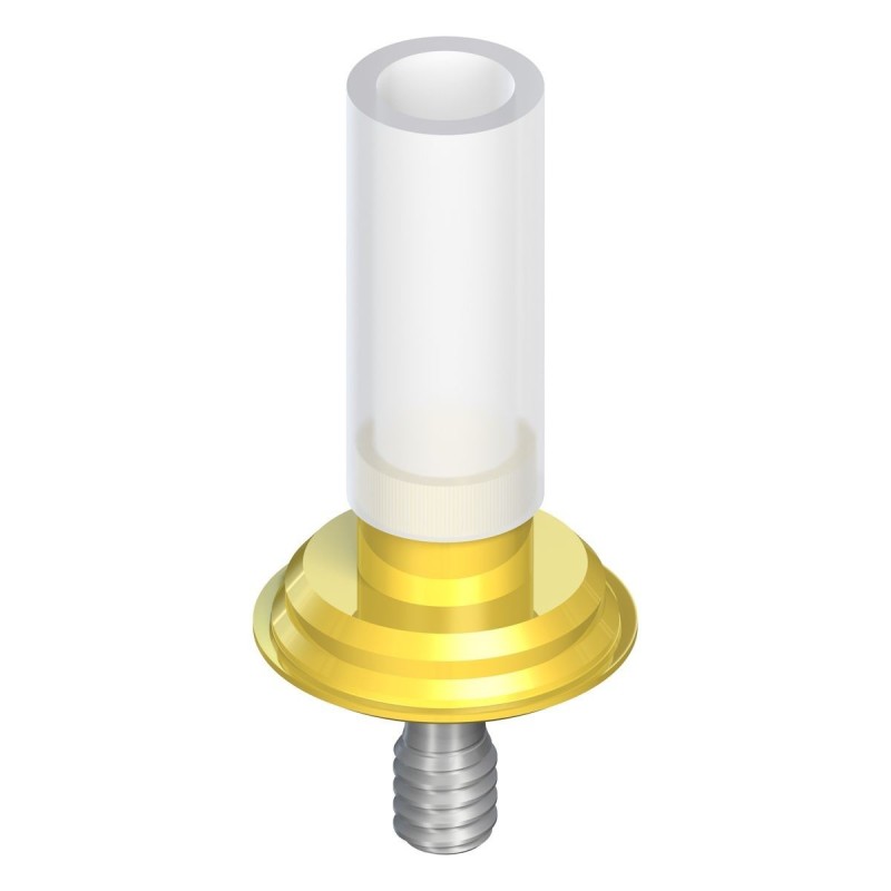 WN Gold Abutment