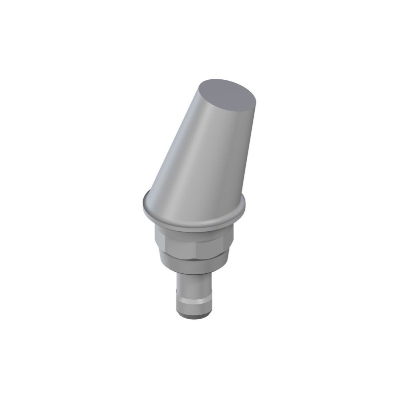 WN synOcta® angled PLAN abutment