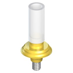 WN synOcta® gold abutment