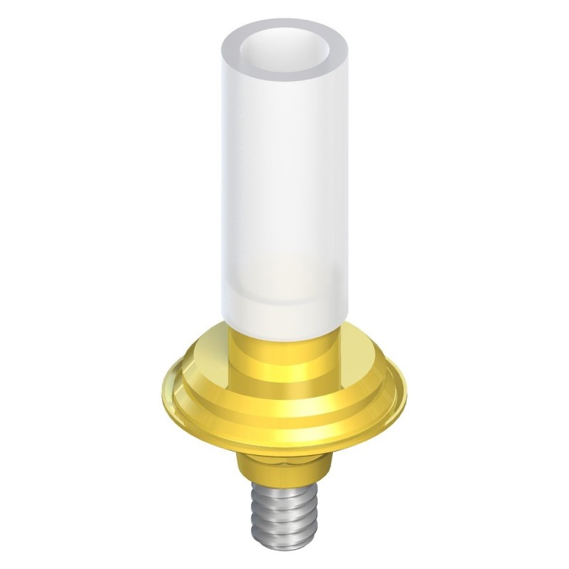 WN synOcta® gold abutment