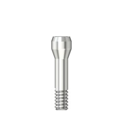 Abutment screw / Hex 1