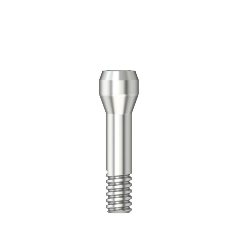 Abutment screw / Hex 1