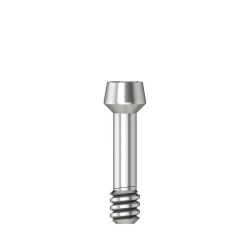 Abutment screw Ball Torx M 1