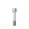 Abutment screw Ball Torx M 1