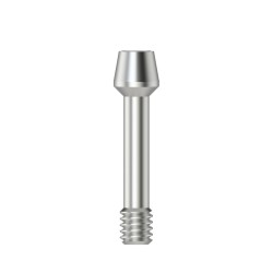 Abutment screw Hex 1