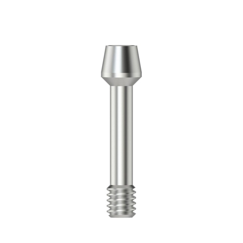 Abutment screw Hex 1