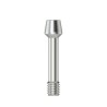 Abutment screw Hex 1