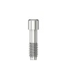 Abutment screw Hex 1