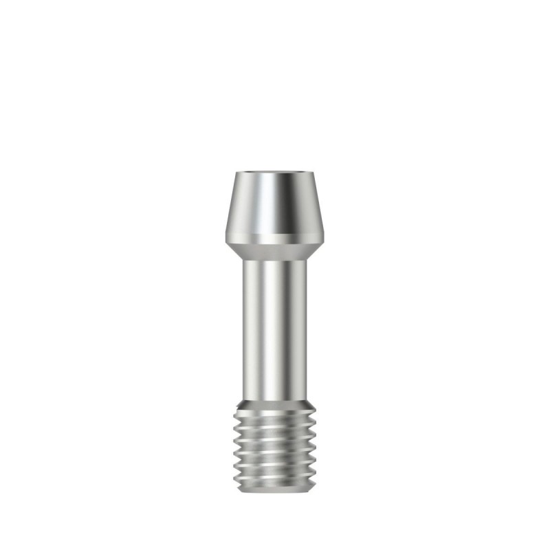 Abutment screw Hex 1