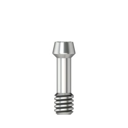 Abutment screw Hex 1