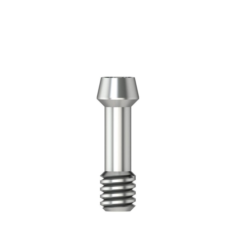 Abutment screw Hex 1