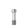 Abutment screw Hex 1