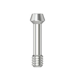 Abutment screw Hex 1