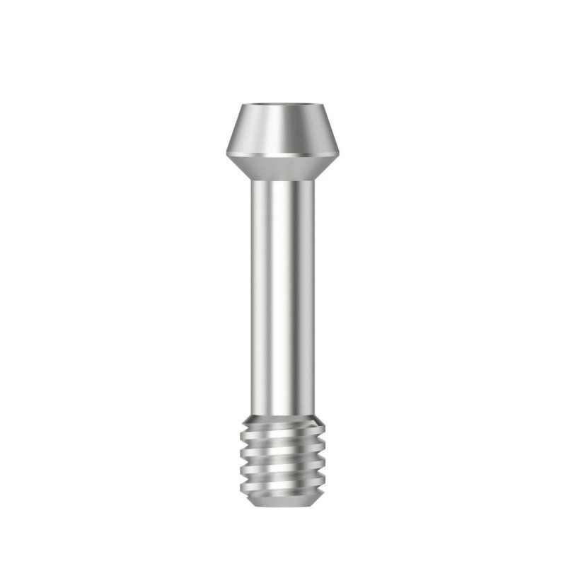 Abutment screw Hex 1