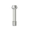 Abutment screw Hex 1