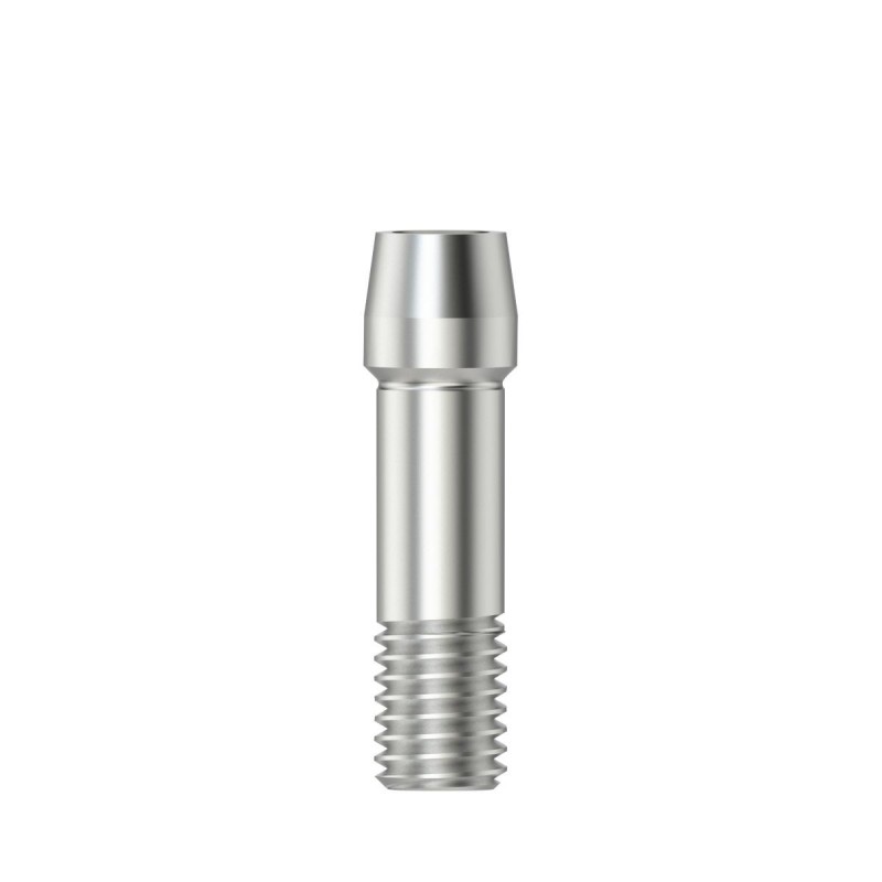 Abutment screw M 2