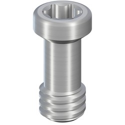 CI Basal screw