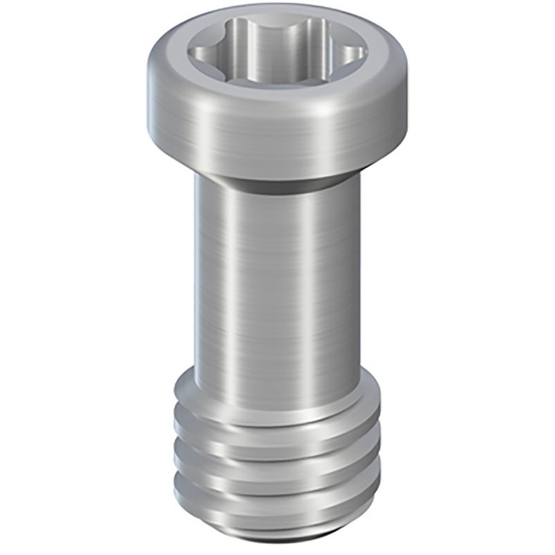 CI Basal screw