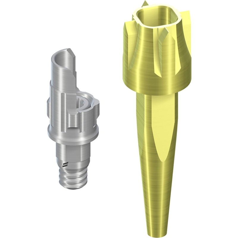 CI RD Straumann PUREbase AS AH 5.5mm