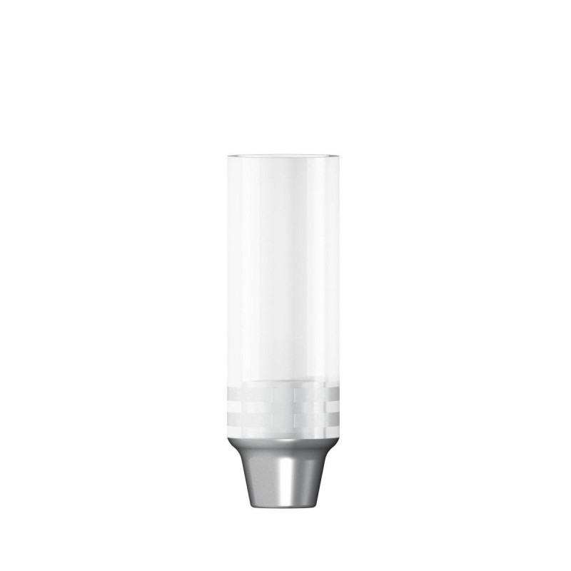 CoCr abutment rotating D 3