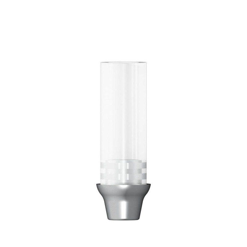 CoCr abutment rotating D 3