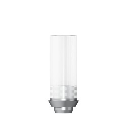 CoCr abutment rotating D 3
