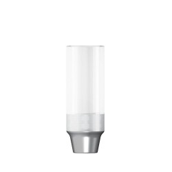 CoCr abutment rotating D 4