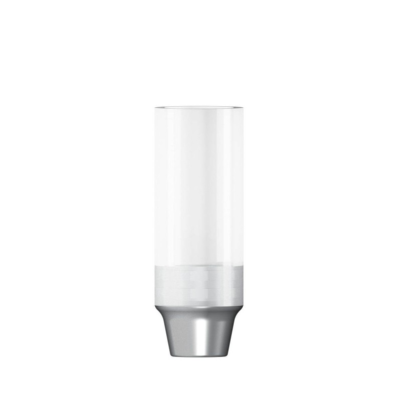 CoCr abutment rotating D 4