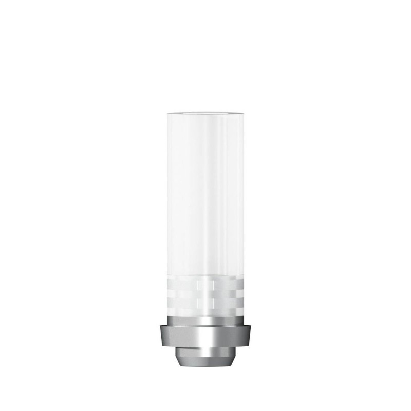 CoCr abutment rotating D 4