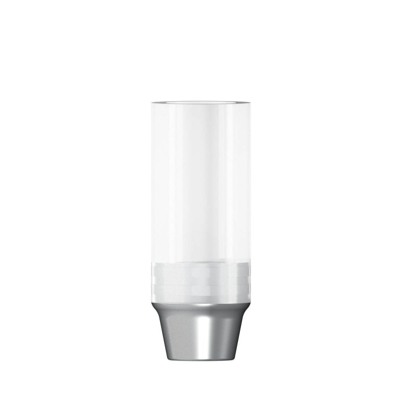 CoCr abutment rotating D 4
