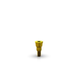 GM Cover Screw