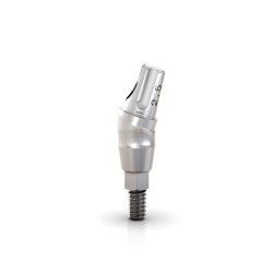 GM UNIV ABUTMENT 17 REM SCREW 3.3X4X2.5