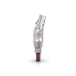 GM UNIV ABUTMENT 17 REM SCREW 3.3X4X3.5