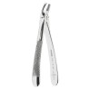 0100-7 FORCEPS PREMOLAR SUP.