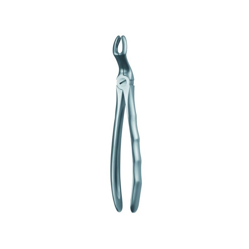 67A FORCEPS CORDAL SUPERIOR