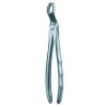 67A FORCEPS CORDAL SUPERIOR