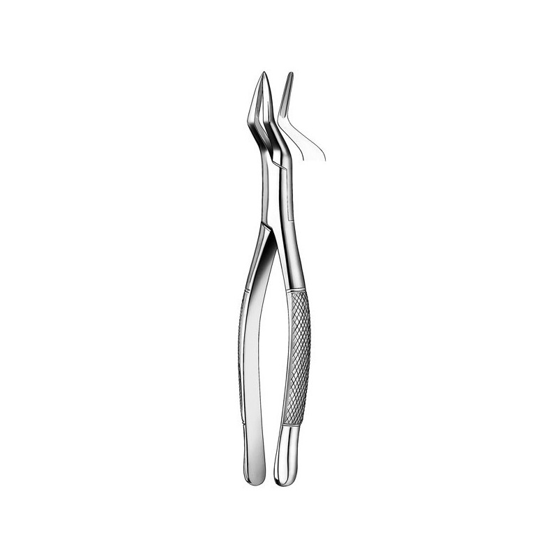 409/65 FORCEPS RAIZ-INCIS.SUP.