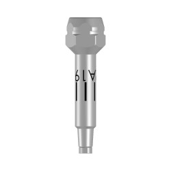 Insertion Tool -Ratchet 19mm