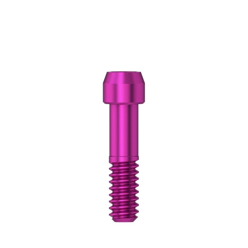 Lab screw M 1.6 D 3