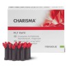 B2 CHARISMA PLT 2x10u.x0
