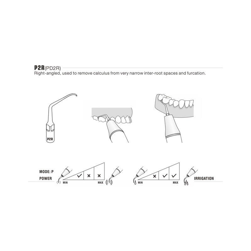 PUNTA WOODPECKER P2R PARA EMS