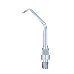 PUNTA WOODPECKER DTE ES10D