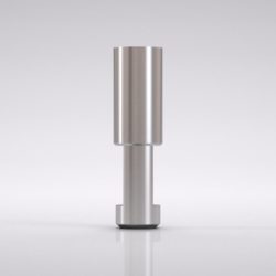 CAMLOG Análogo de implante