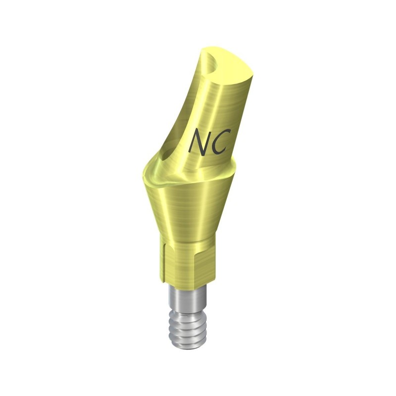 NC Anatomic Abutment