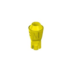 NC PLAN Multi-B.Abt. straight