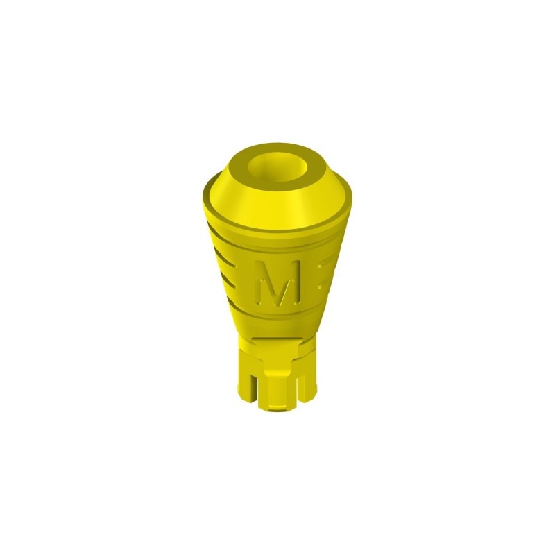 NC PLAN Multi-B.Abt. straight