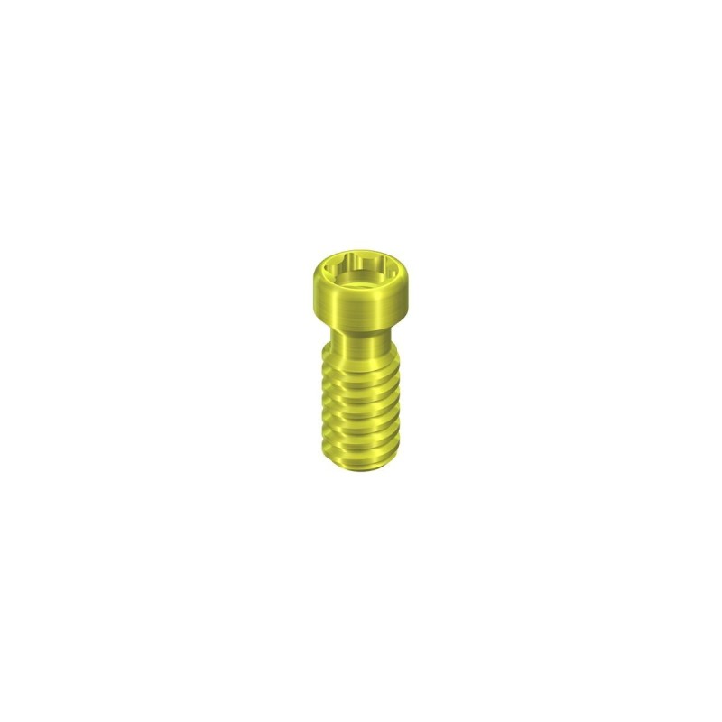 NN occlusal screw