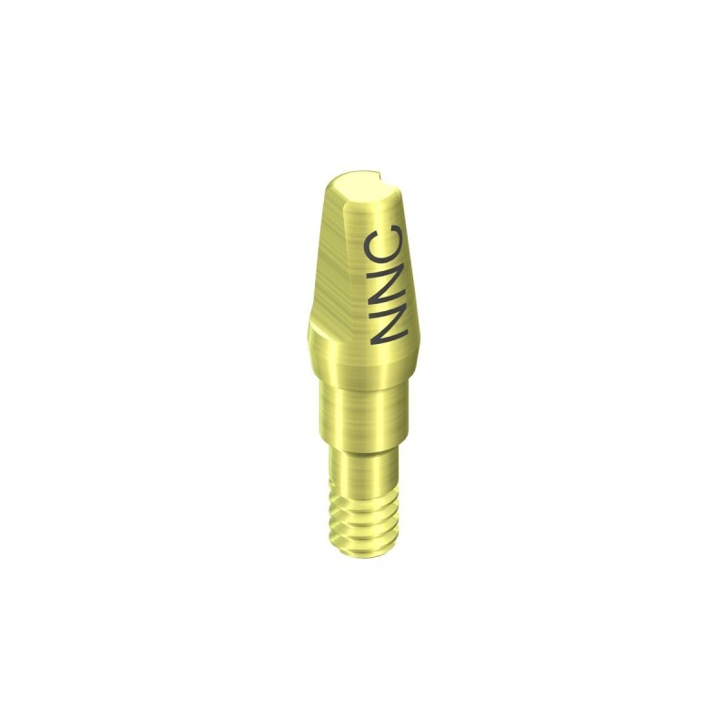 NNC Solid abutment