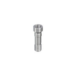 NT/RT/WT Basal Screw