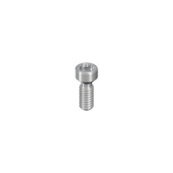 Occl. Screw